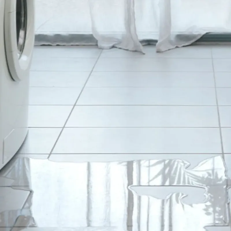 Appliance Leak Cleanup in Mantachie, MS