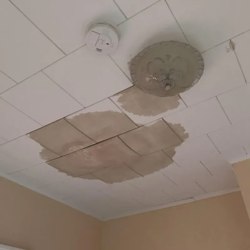 Ceiling Water Damage Repair in Mantachie, MS