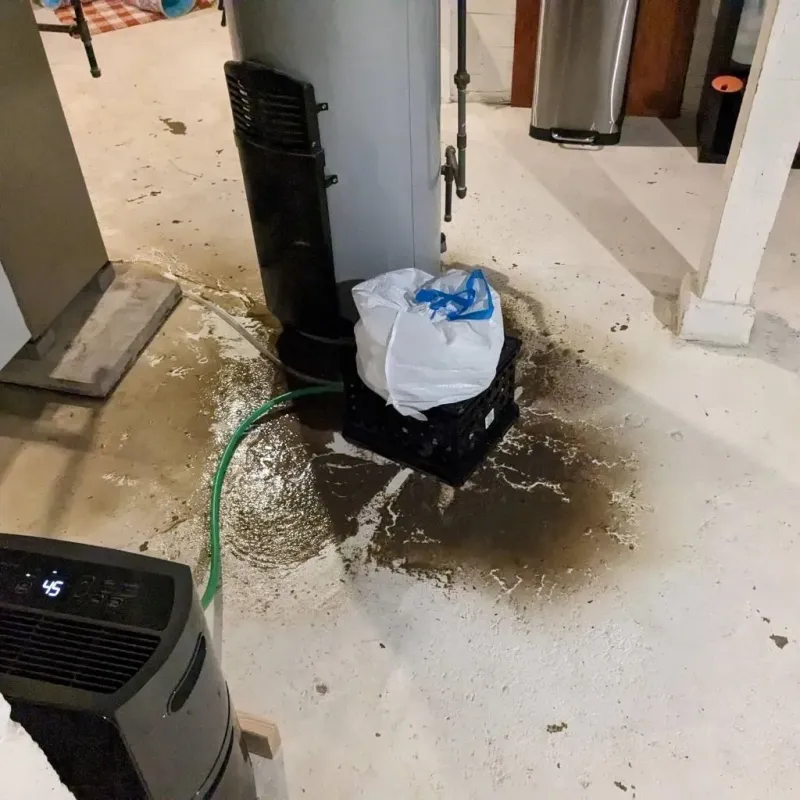 Sewage Backup Cleanup Service in Mantachie, MS